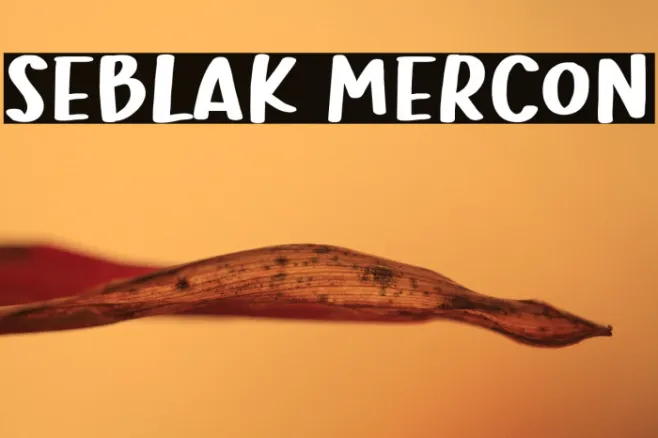 Seblak Mercon Example 1