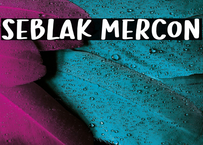 Seblak Mercon Example 2