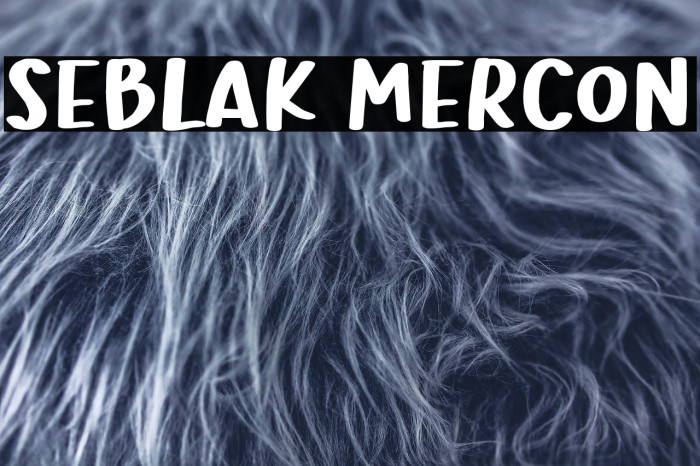 Seblak Mercon Example 3