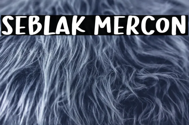 Seblak Mercon Example 3