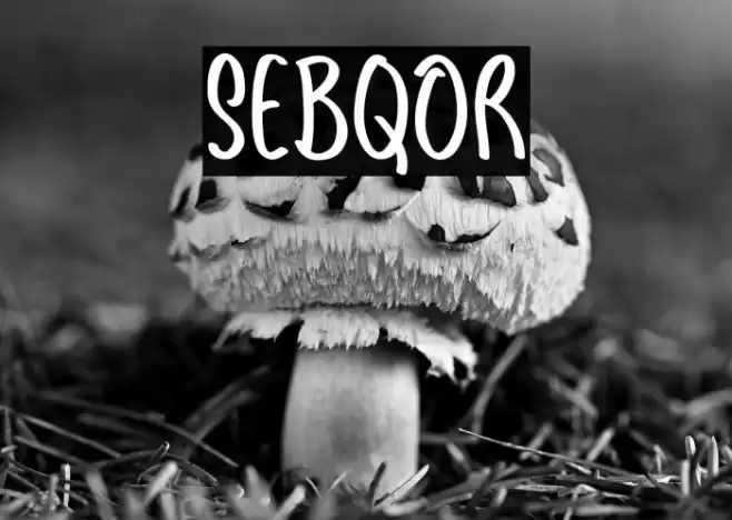 Sebqor Font examples