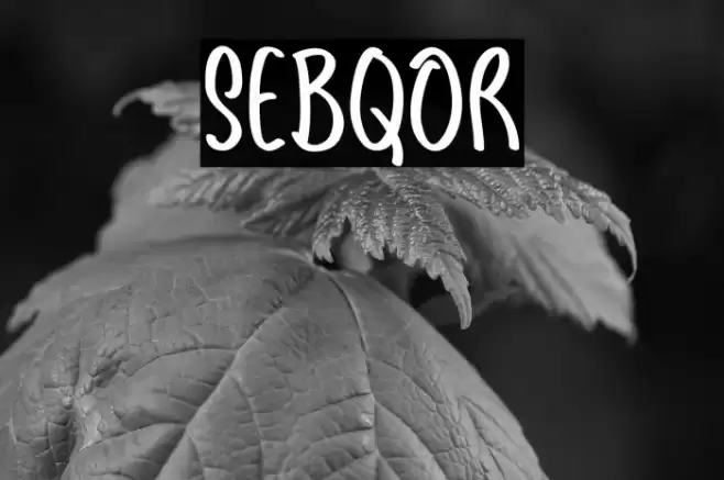 Sebqor Font examples