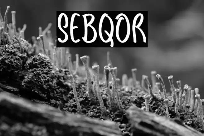 Sebqor Font examples