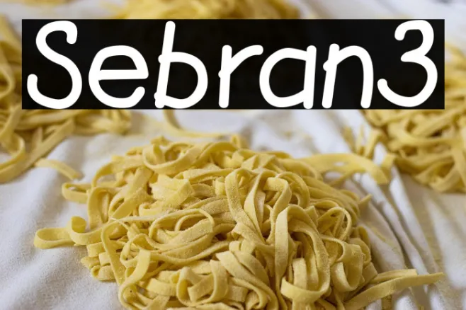 Sebran3 Example 1