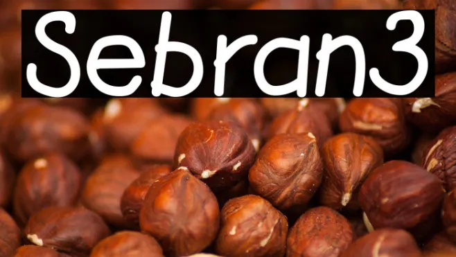 Sebran3 Example 3
