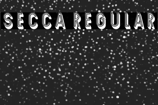 Secca Regular Font examples
