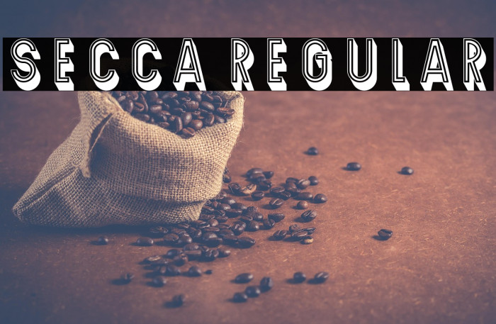 Secca Regular Example 2