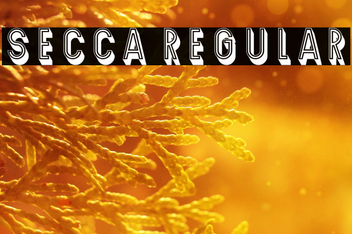 Secca Regular Example 3