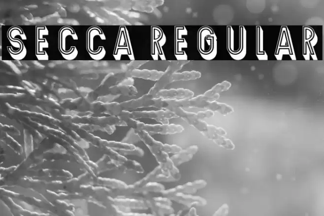 Secca Regular Font examples