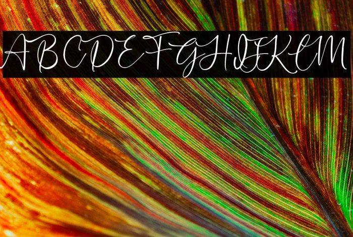 Sechillia Ruster Example 1