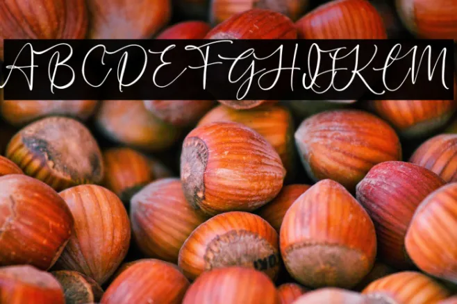 Sechillia Ruster Example 2