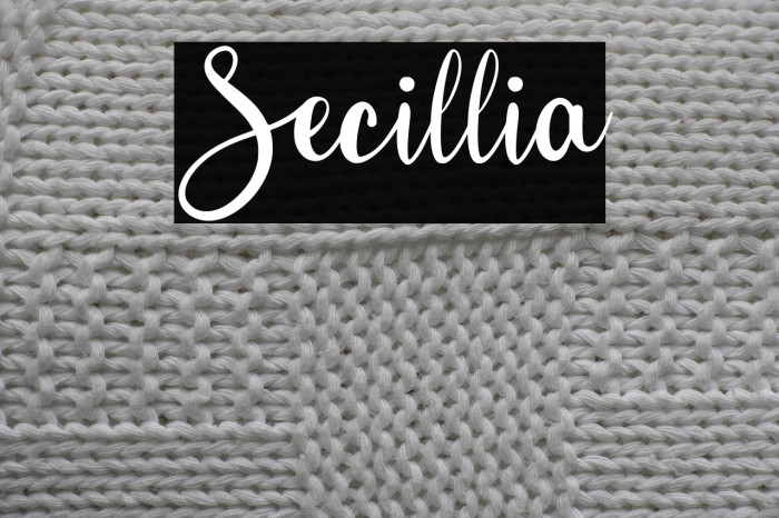 Secillia Example 1