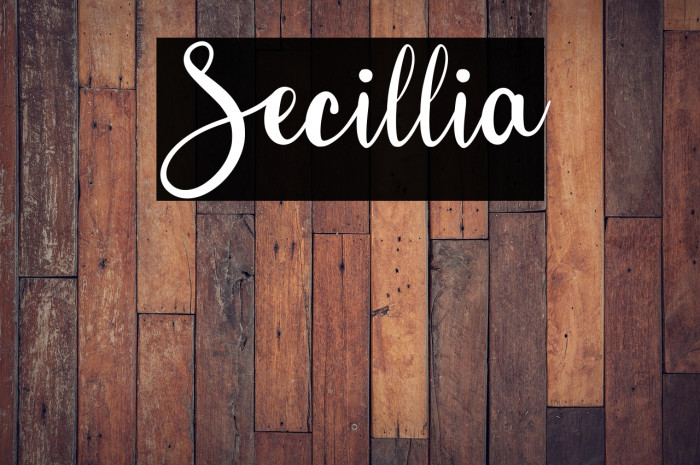 Secillia Example 2