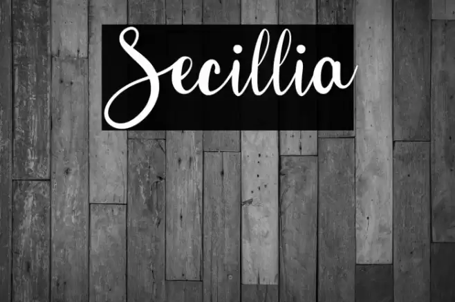 Secillia خط examples