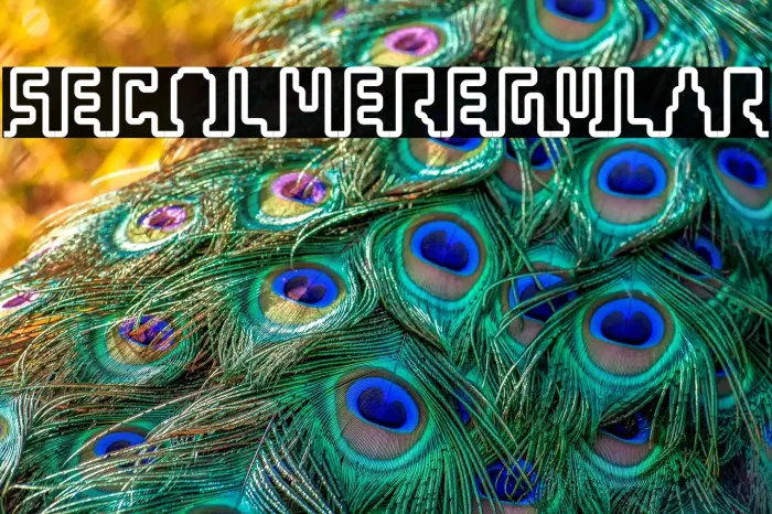 Secoline Regular Example 1