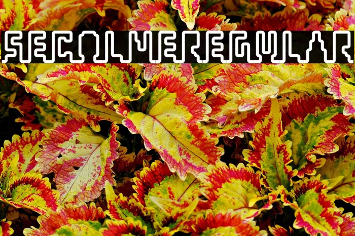 Secoline Regular Example 2