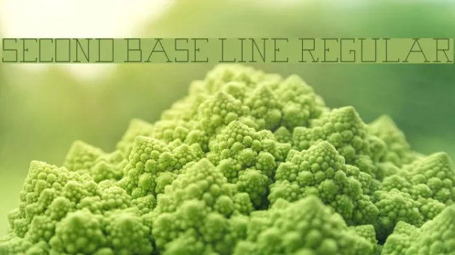 Second Base Line Regular Example 3