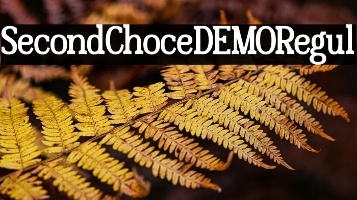 Second Choice DEMO Regular Example 1