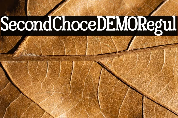 Second Choice DEMO Regular Example 2