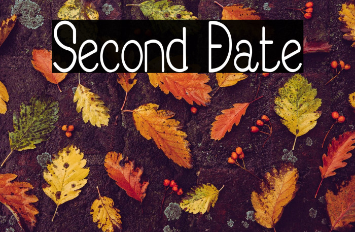 Second Date Example 2