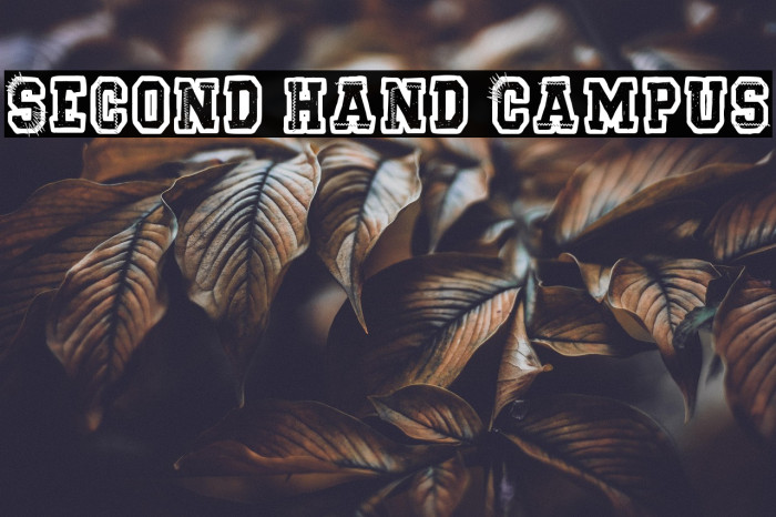 Second Hand Campus Example 2