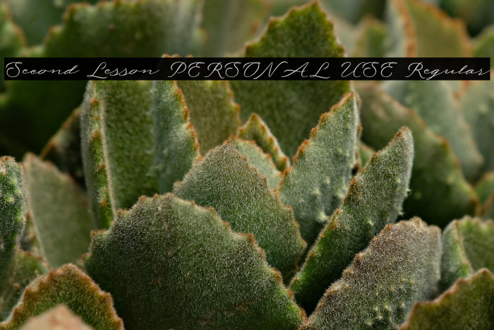 Second Lesson PERSONAL USE Regular Example 1