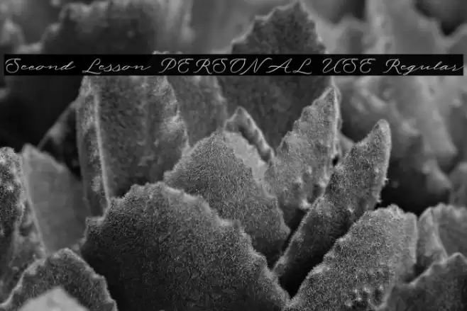 Second Lesson PERSONAL USE Regular フォント examples
