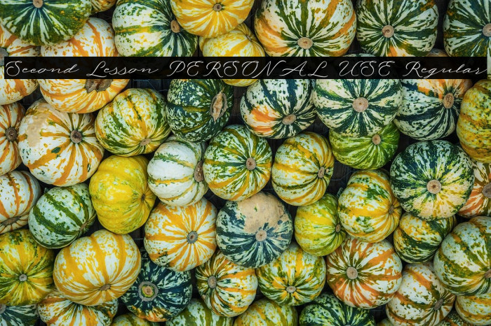 Second Lesson PERSONAL USE Regular Example 2