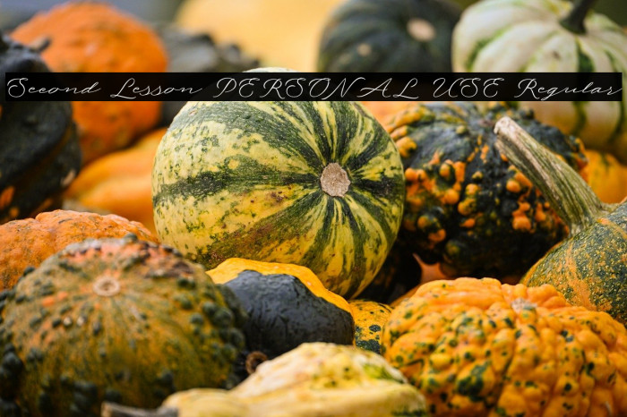 Second Lesson PERSONAL USE Regular Example 3