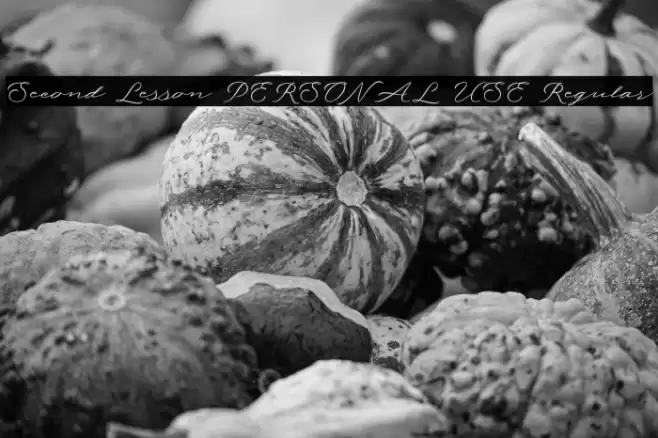 Second Lesson PERSONAL USE Regular フォント examples