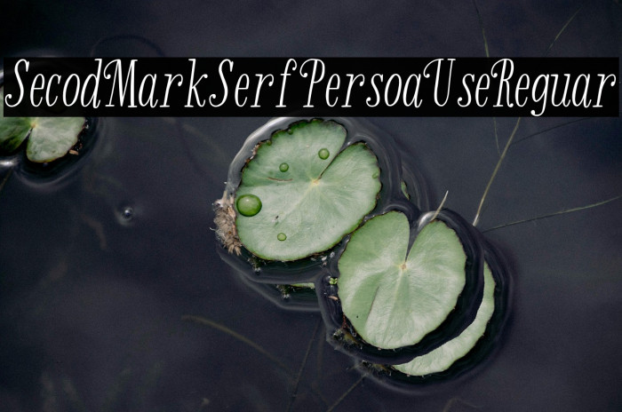 Second Mark Serif-Personal Use Regular Example 2