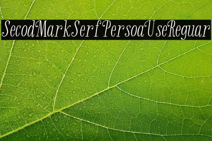 Second Mark Serif-Personal Use Regular Example 3
