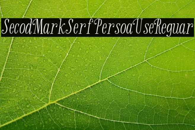 Second Mark Serif-Personal Use Regular Example 3
