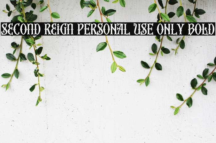 Second Reign PERSONAL USE ONLY Bold Example 1