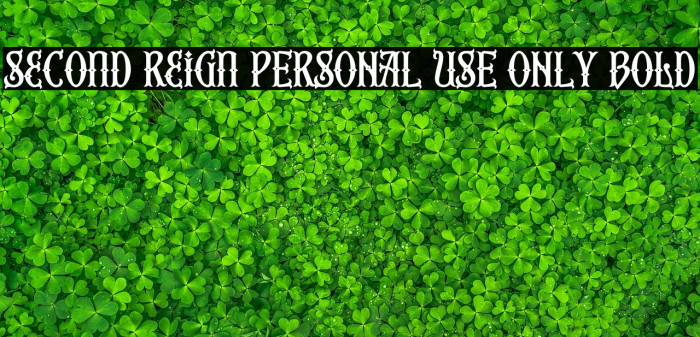 Second Reign PERSONAL USE ONLY Bold Example 2