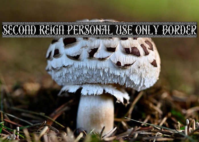 Second Reign PERSONAL USE ONLY Border Example 1