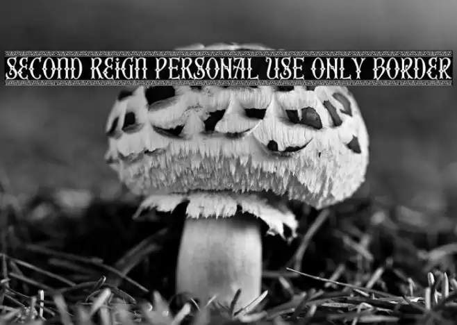 Second Reign PERSONAL USE ONLY Border Font examples