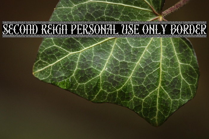 Second Reign PERSONAL USE ONLY Border Example 2
