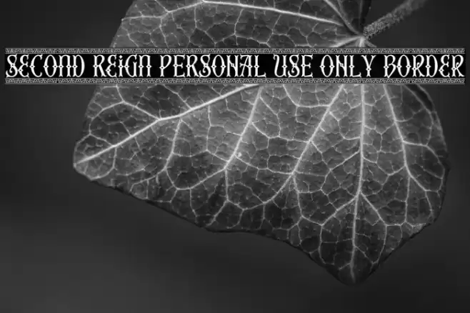 Second Reign PERSONAL USE ONLY Border Font examples