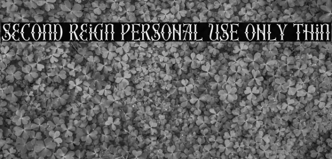 Second Reign PERSONAL USE ONLY Thin Font examples