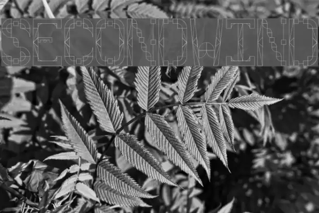 Second Wind Font examples