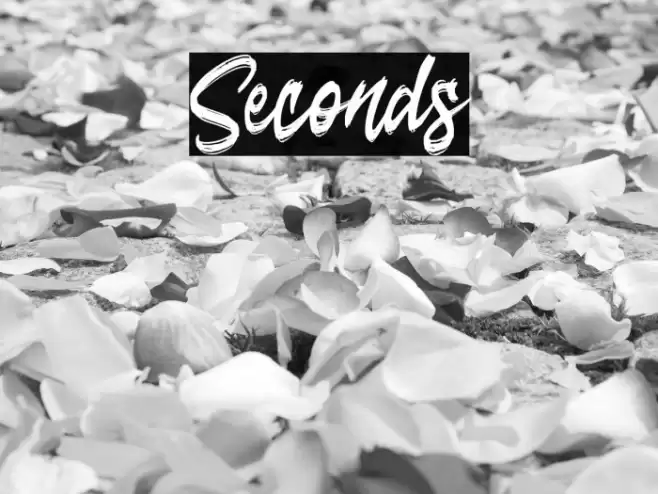 Seconds Font examples
