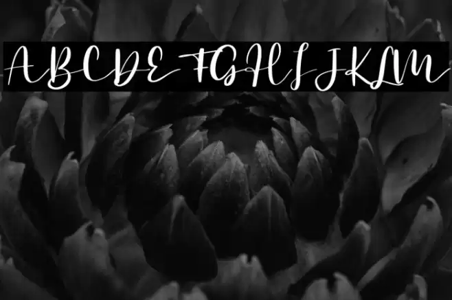 Secret Admire - Personal Use Font examples