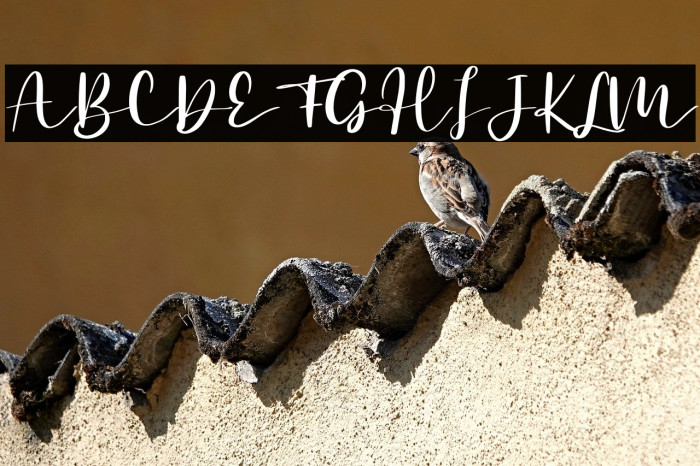 Secret Admire - Personal Use Example 2