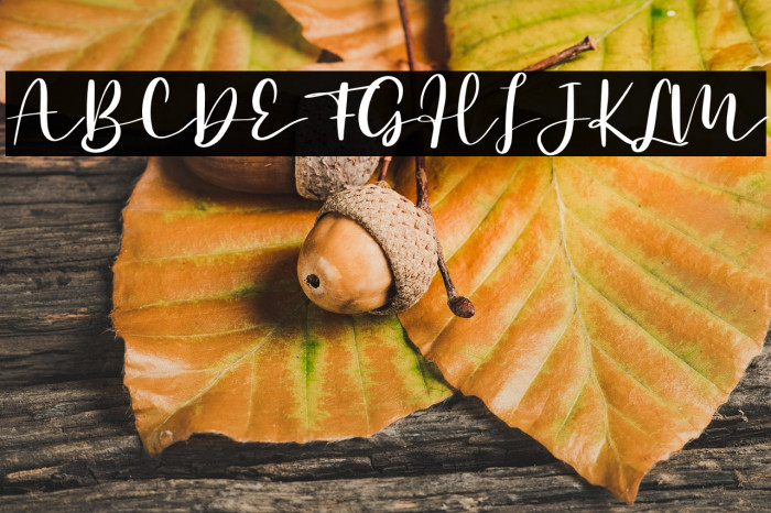 Secret Admire - Personal Use Example 3