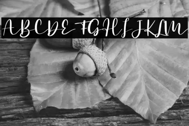 Secret Admire - Personal Use Font examples