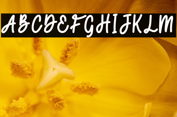 Secret Admirer Script Example 1