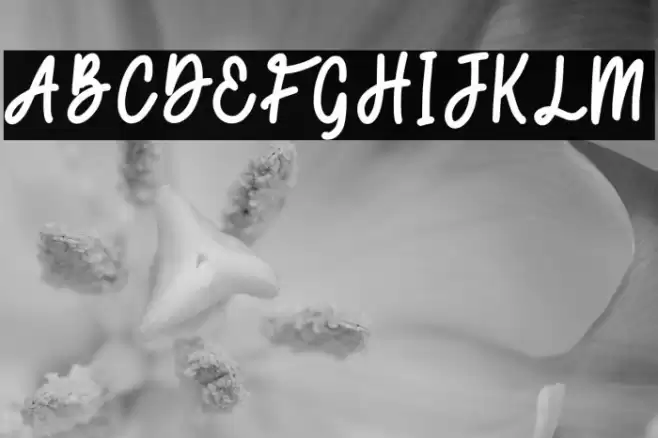 Secret Admirer Script Font examples