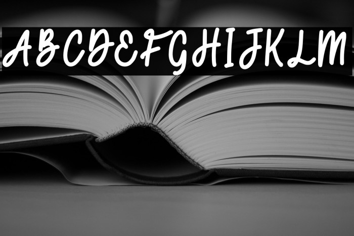 Secret Admirer Script Example 2