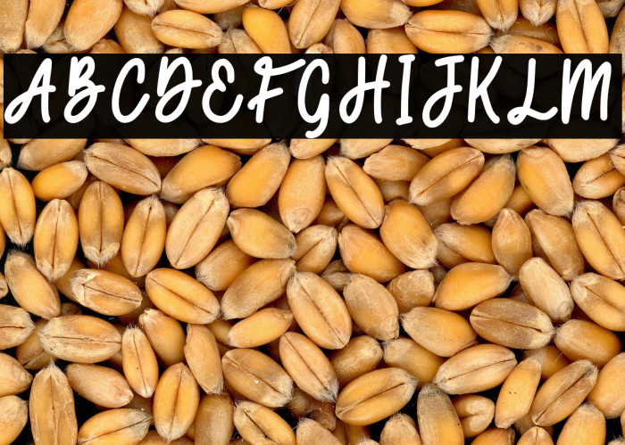 Secret Admirer Script Example 3